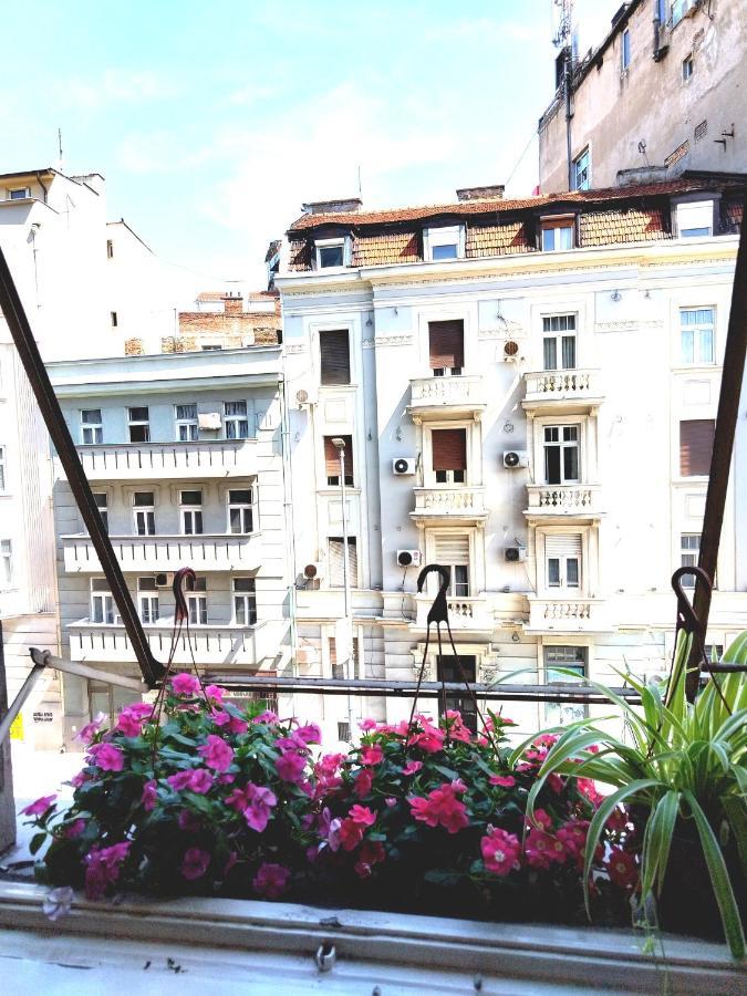 Auberge de jeunesse Monica'S House à Belgrade Extérieur photo