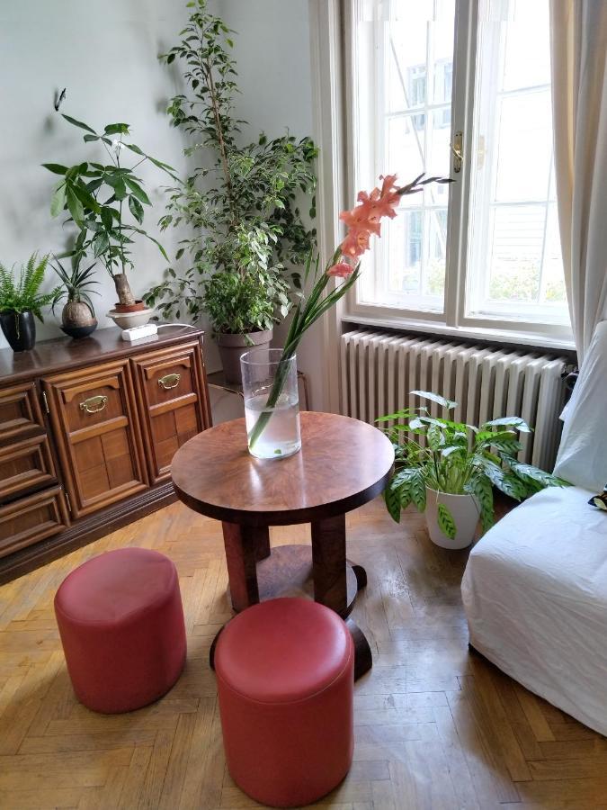 Auberge de jeunesse Monica'S House à Belgrade Extérieur photo
